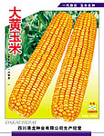 玉米