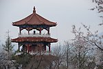 花香望江亭