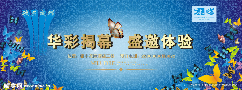 沐蝶海报