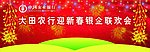 中国农业银行新春联欢会