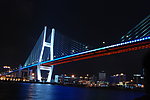上海南浦大桥 LED夜景照明