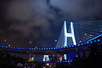 上海南浦大桥 LED夜景照明