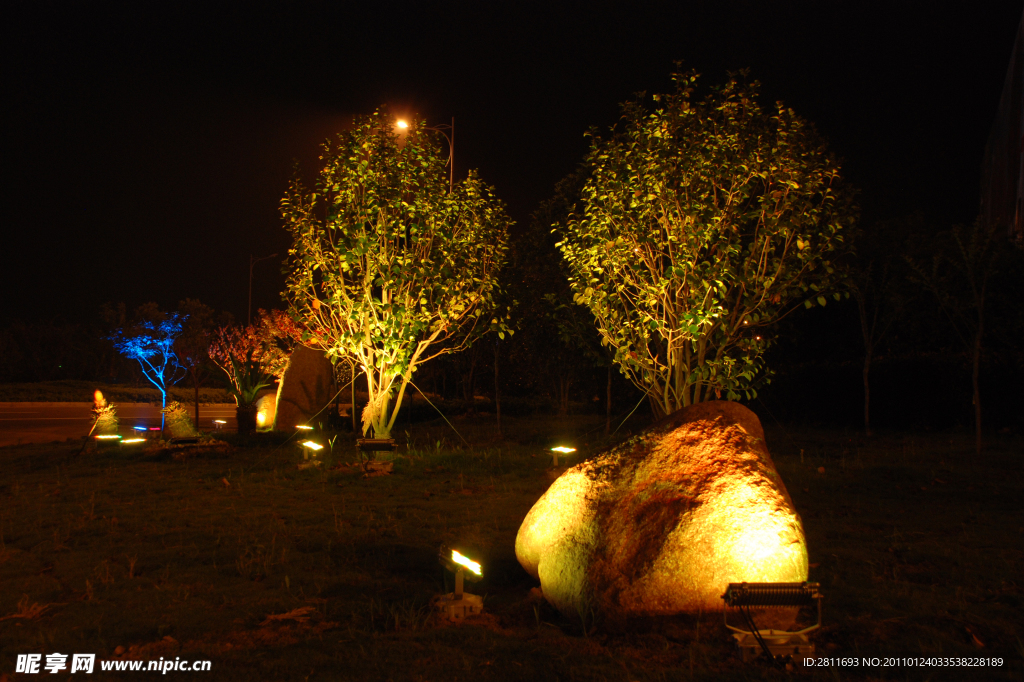 夜景树 LED夜景照明