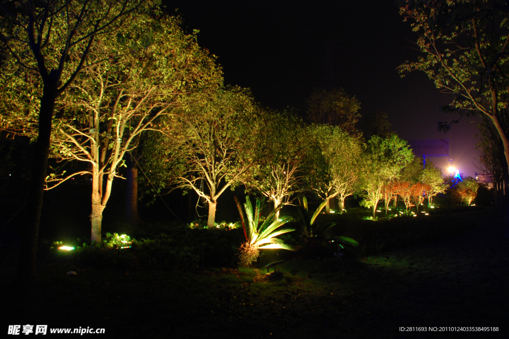 夜景树 LED夜景照明