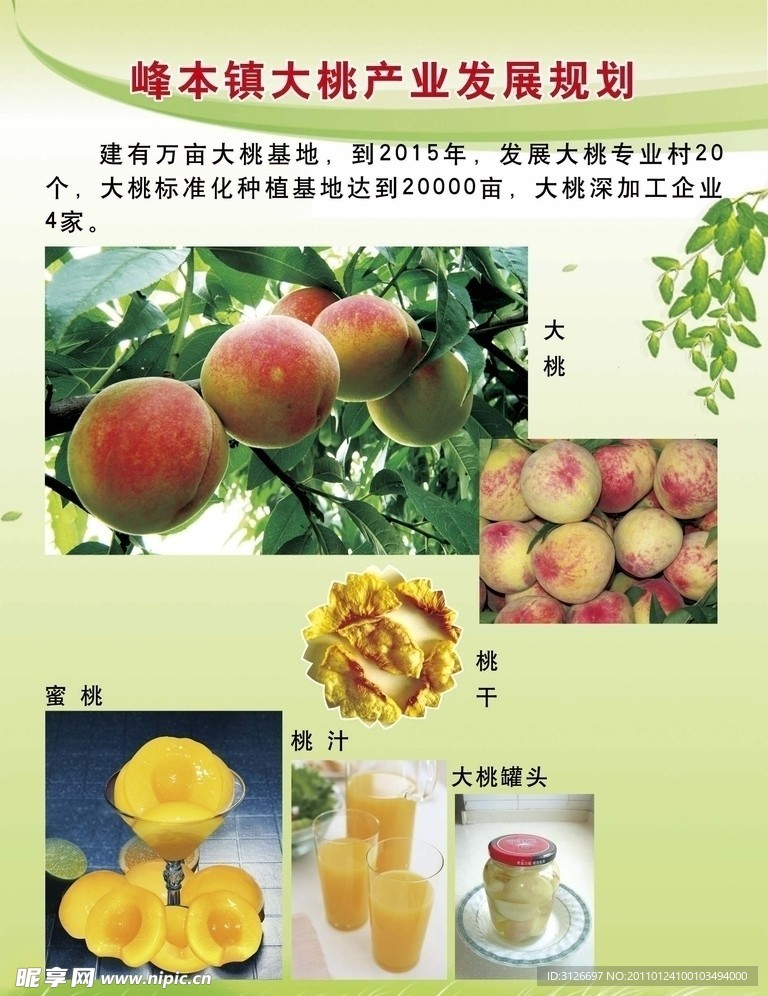 大桃产业发展规划