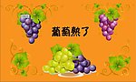 葡萄熟了