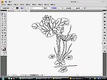 简单荷花图