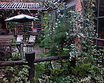 丽江古屋