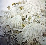 荷叶 荷花 莲子