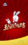 玉兔新年海报
