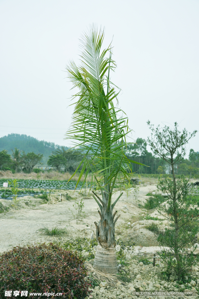 田园风光