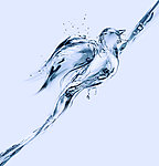 动感水花水滴水面的小鸟