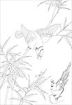 花鸟