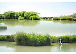洽川湿地