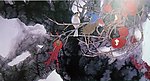 国画山水 花鸟