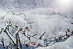 国画山水 花草