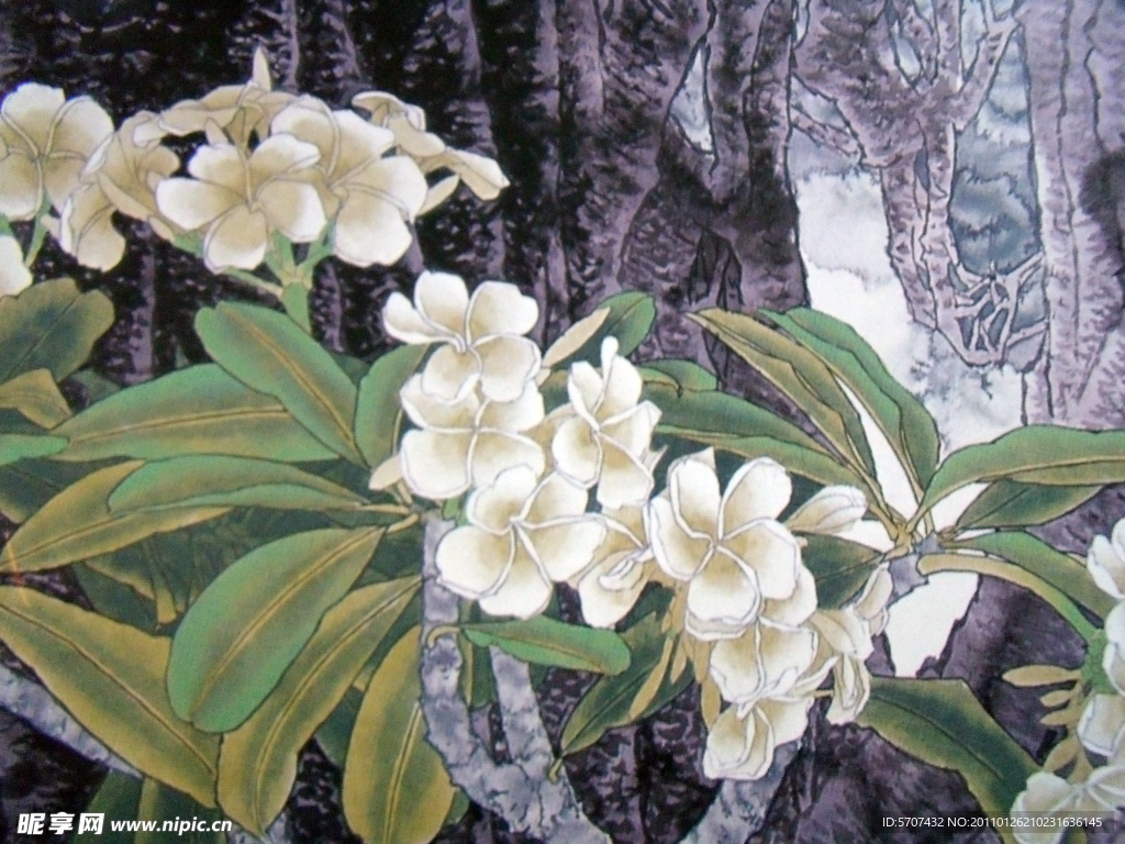 国画花草