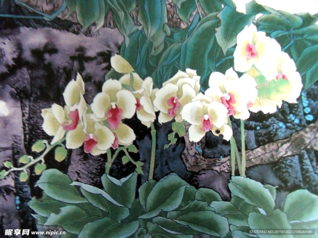 国画山水 花草