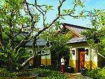 庭院