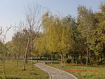 小路