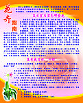 花卉指南