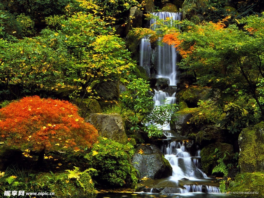 风景