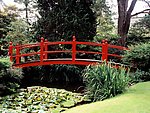日本花园
