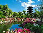 日本