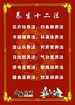 企业文化 养生