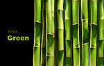 竹子绿竹