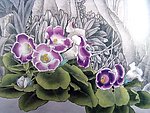 国画山水 花草