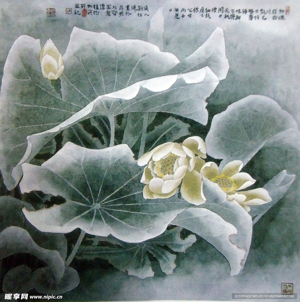 荷塘