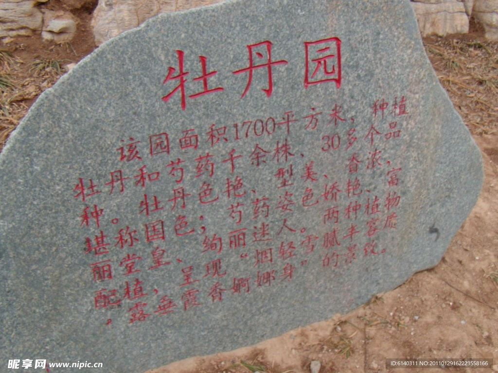 滨州蒲园
