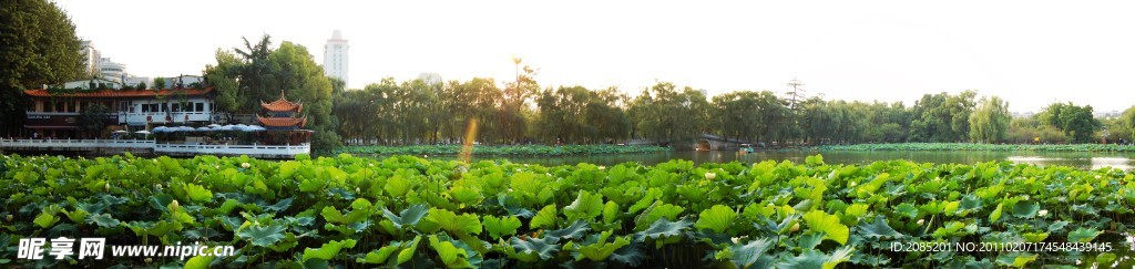 昆明翠湖