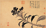 鸡冠花 古画