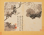 写生牡丹 古画
