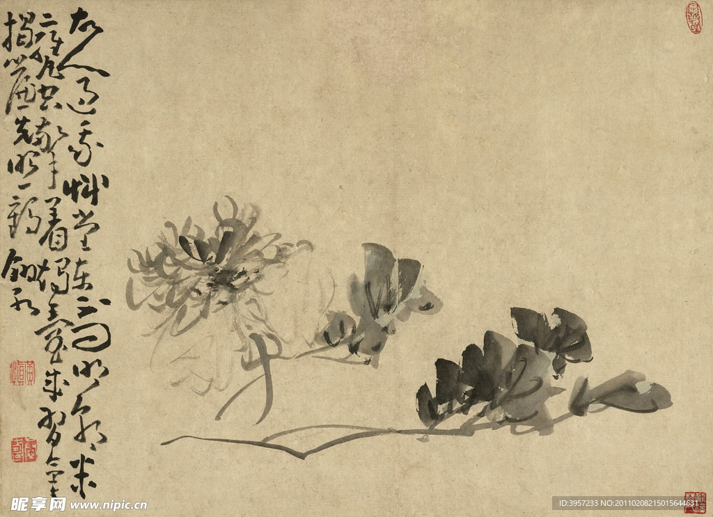墨牡丹 古画