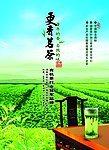 绿茶海报