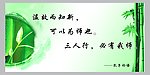 学校版面