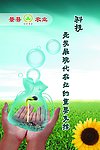 农业局文化