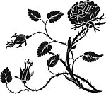 黑白花卉图案