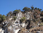 嶙峋