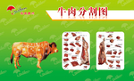 牛肉分割图