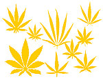 秋叶笔刷