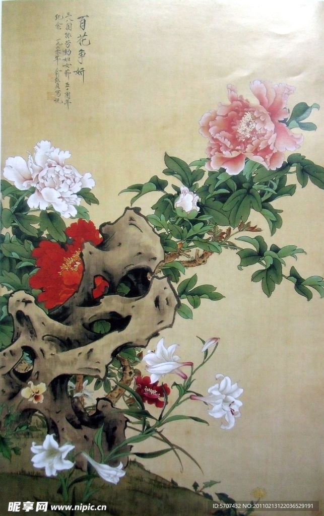 花开富贵 牡丹