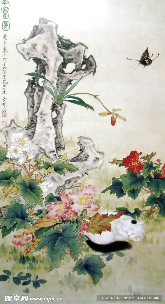 国画山石 花鸟画