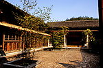 竹子小院