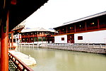 水岸桃花