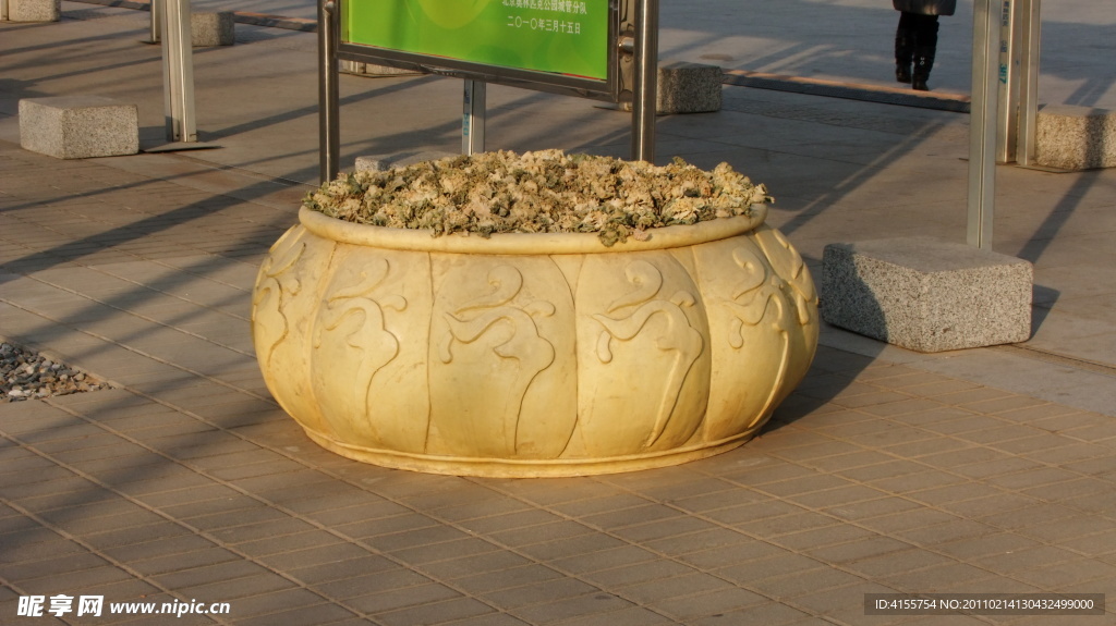 花盆