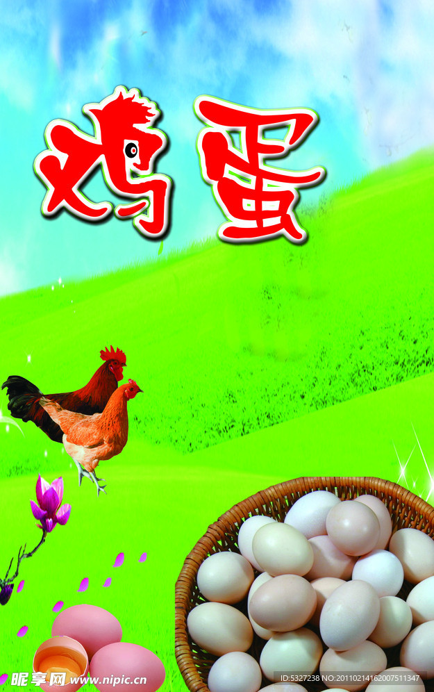 鸡蛋